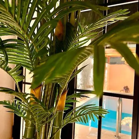 Katoikia Patelia فيلة Koskinou (Rhodes)