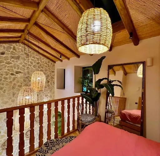 Katoikia Patelia فيلة *